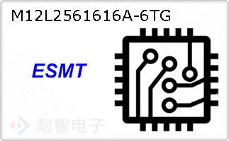 M12L2561616A-6TG