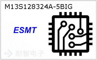 M13S128324A-5BIG