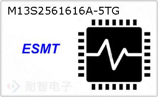 M13S2561616A-5TG