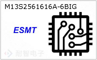 M13S2561616A-6BIG