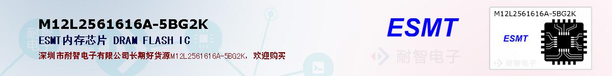 M12L2561616A-5BG2K