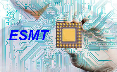 ESMT公司的主要产品