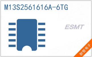 M13S2561616A-6TG