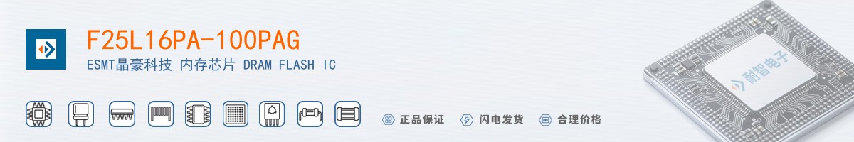 F25L16PA-100PAG������