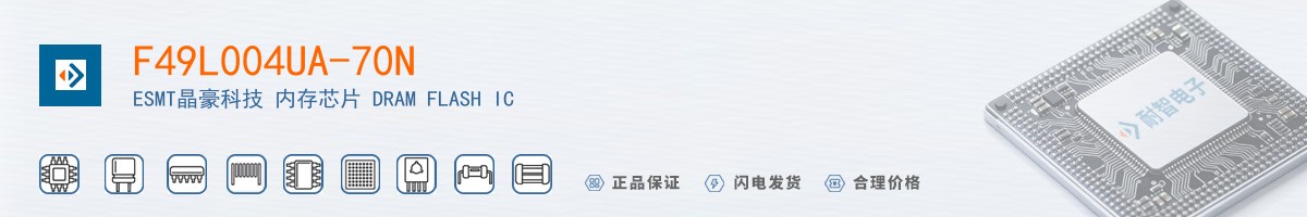 F49L004UA-70N������