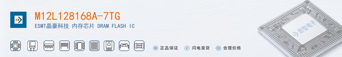 M12L128168A-7TG������