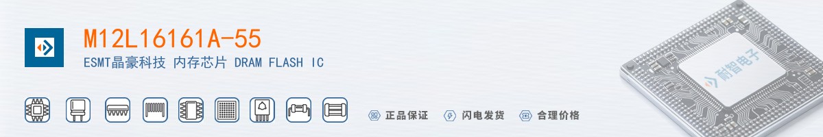 M12L16161A-55������