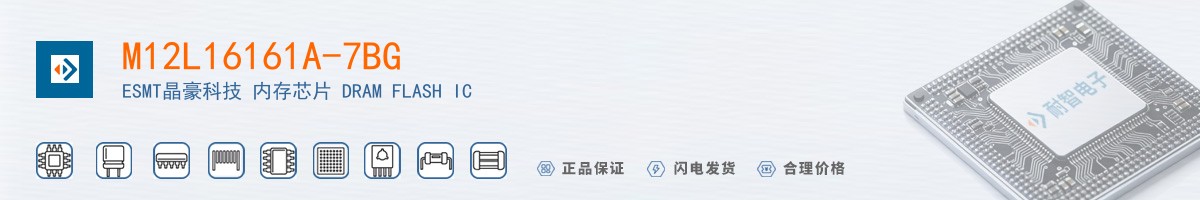 M12L16161A-7BG������