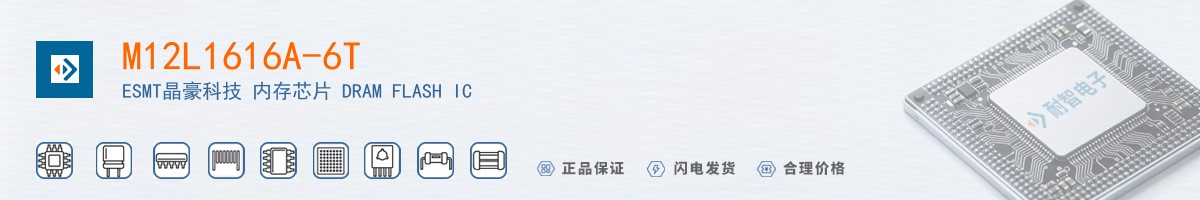 M12L1616A-6T������