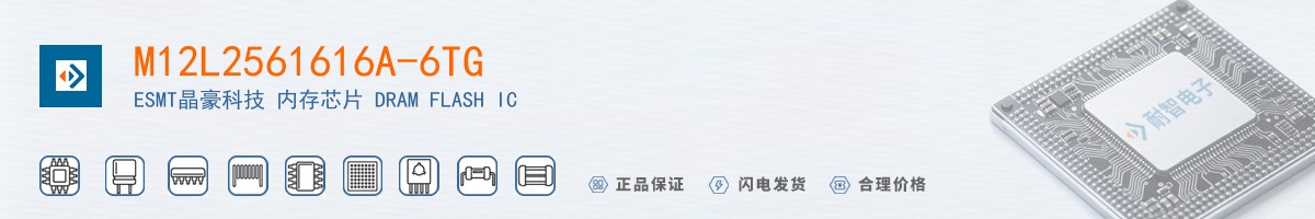 M12L2561616A-6TG������