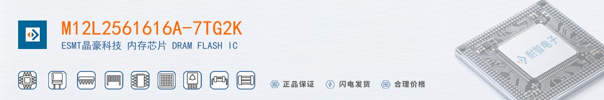 M12L2561616A-7TG2K������