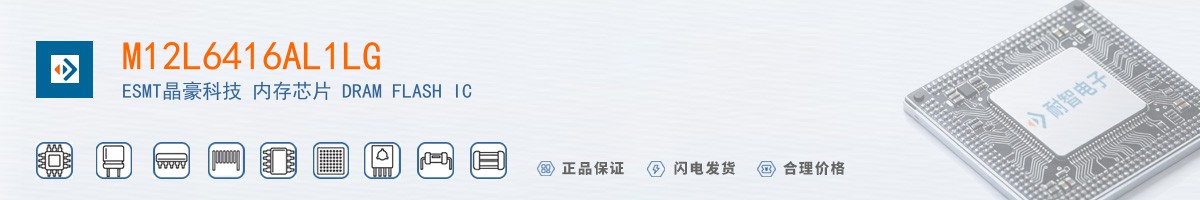 M12L6416AL1LG������