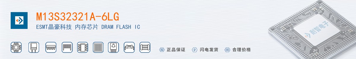 M13S32321A-6LG������