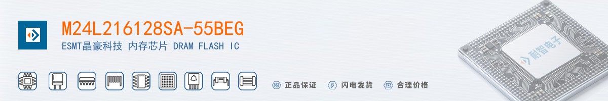 M24L216128SA-55BEG������