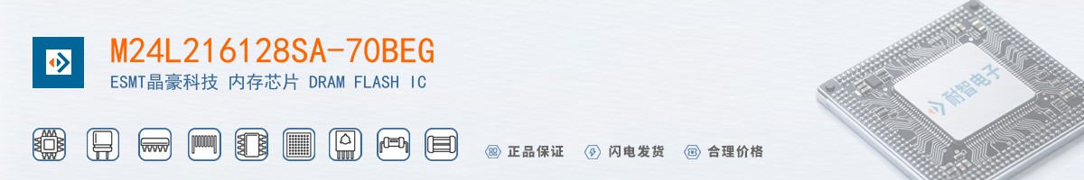 M24L216128SA-70BEG������