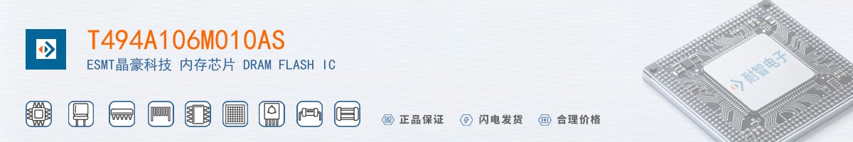 T494A106M010AS������