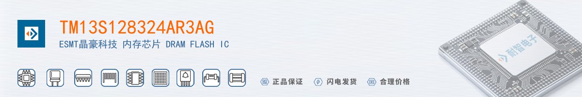 TM13S128324AR3AG������